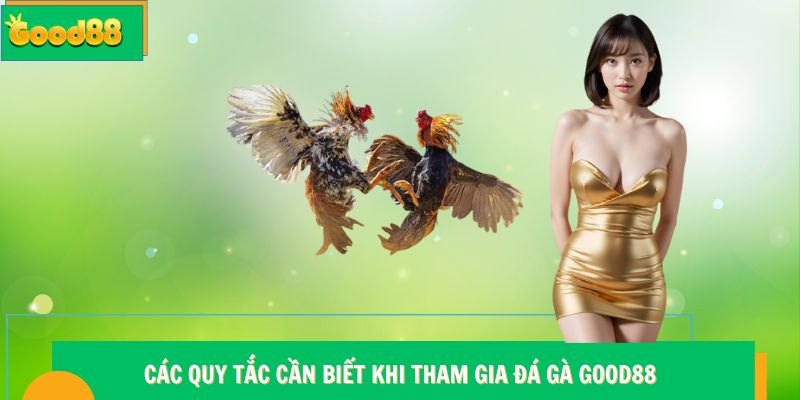 Các quy tắc cần biết khi tham gia đá gà Good88