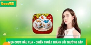 Mẹo Cược Bầu Cua – Chiến Thuật & Bí Kíp Tránh Lỗi Thường Gặp